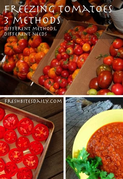 Freezing Tomatoes 3 Ways To Preserve The Tomato Harvest Fresh Bites Daily