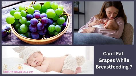 Can I Eat Grapes While Breastfeeding 10 Best Tips And Queries Resolved