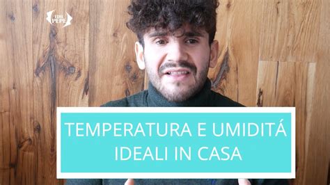 Temperatura E Umidit Ideali In Casa Youtube