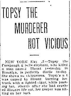 Bill Milhomme: Topsy: Thomas Edison electrocuted an innocent elephant 1903