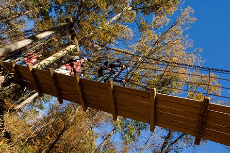 Cane Creek State Park Encyclopedia Of Arkansas