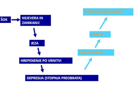 Viri Energije Za Vašo Pozitivno Rast Sofos