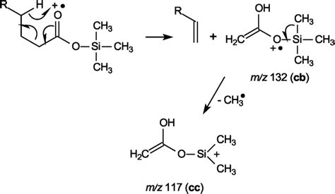 McLafferty Rearrangement And Subsequent Loss Of A Methyl Radical To