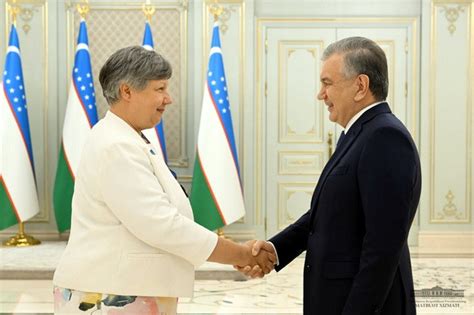 President Of Uzbekistan Received The Head Of The Osce Odihr Mission