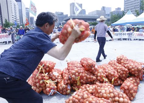 농산물 가격 폭락에 뿔난 농민들 서울로 상경