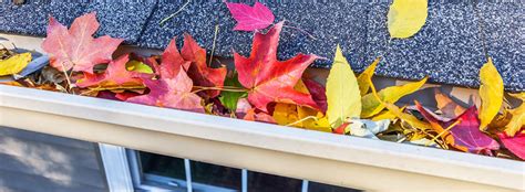 How To Keep Your Gutters Flowing Free This Fall Fnhw Blog