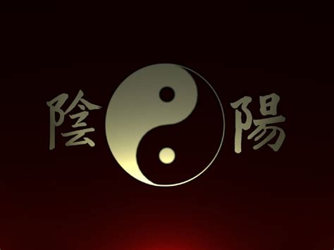 Cool Yin Yang Wallpaper - WallpaperSafari