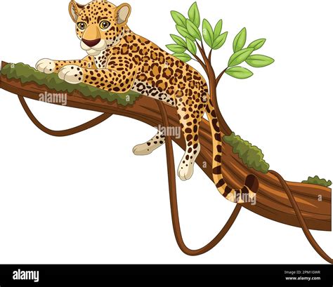 Cartoon Leopard Lying On A Tree Branch Stock Vector Image Art Alamy