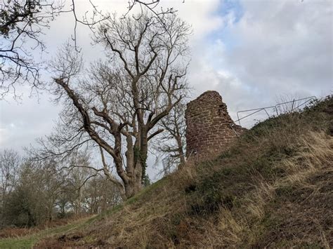 Tree At Snodhill Castle North Tower © Fabian Musto Geograph