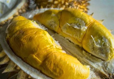 Waspada Ini Efek Samping Makan Durian Terlalu Banyak