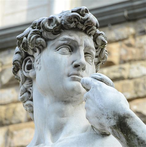 statue of David by Michelangelo on the Piazza della Signoria Photograph ...