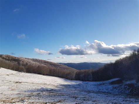 Freddo E Maltempo In Calabria Scenari D Inverno In Sila Le FOTO Della