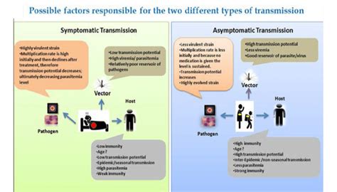 Possible Factors Responsible For The Two Different Types Of Download Scientific Diagram