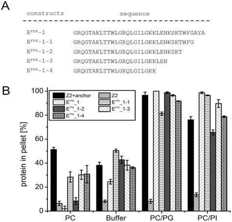 Effect Of C Terminal Truncation On Lipid Binding Of An Erns Anchor