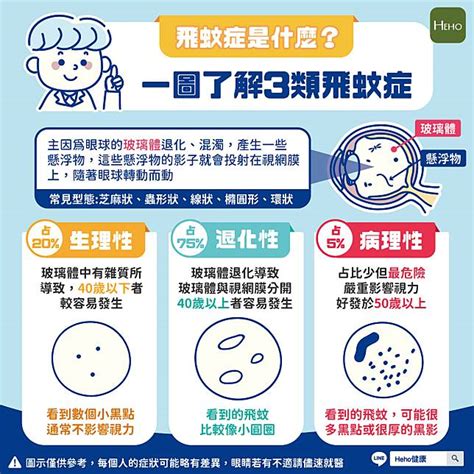 飛蚊症是什麼？一圖了解3類飛蚊症 Heho健康 Line Today