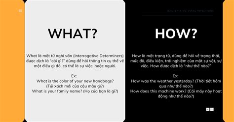 This Quiz Will Change the Way You Think About Phun Forum! - xwyh95i