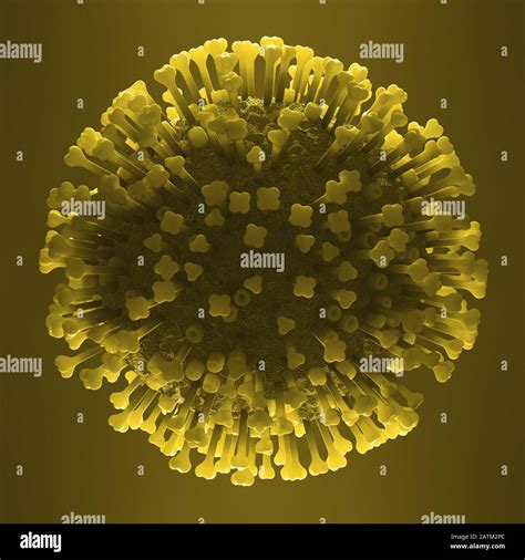 Come Malattia Infettiva Immagini E Fotografie Stock Ad Alta Risoluzione