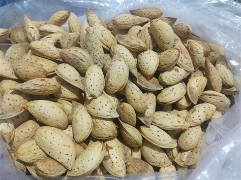 Brown Organic Kagzi Almond At Rs Kg Organic Almond In Pampora