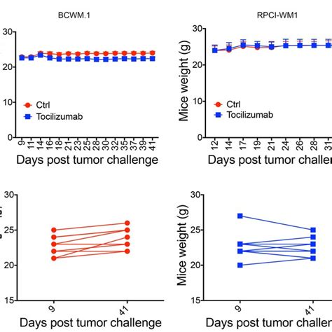 Tocilizumab Reduces Human IgM Secretion In Mice Xenografted With BCWM 1