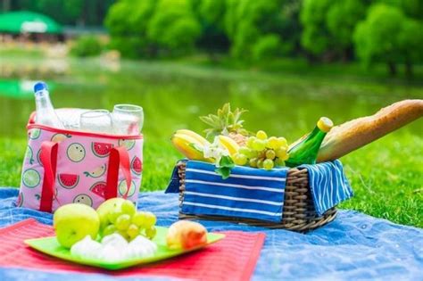 Красивая посуда для отдыха на природе: 10 невероятных идей - kolobok.ua