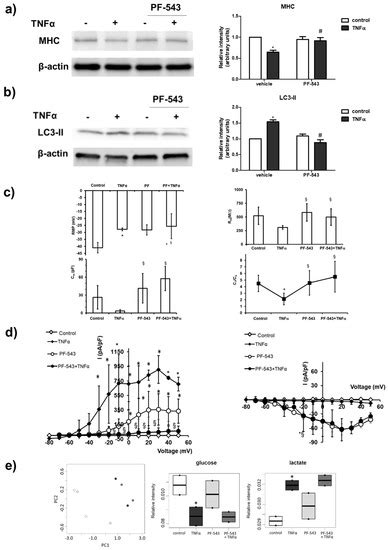 IJMS Free Full Text Role Of Sphingosine 1 Phosphate Signalling Axis