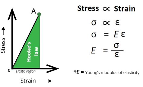 Glomeca 3 Skin Elasticity From Hookes Law To Youngs Modulusin Level Biomeca