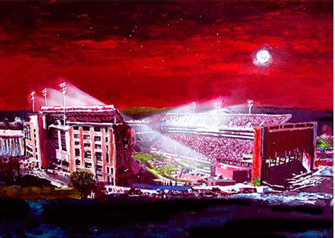 Donald W Reynolds Razorback Stadium - Arkansas – Richard Russell Studios