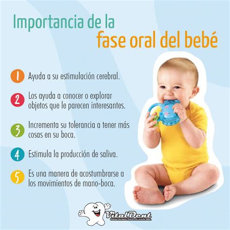 Fase Oral Do Bebe - VitalDent - La fase oral es muy importante porque: 👶 Ayuda a su ...