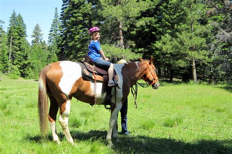 Walupt Lake Horse Camp Discover Lewis County