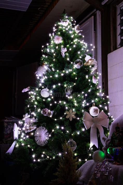 Christmas Tree with White Lights Stock Image - Image of black, plant ...