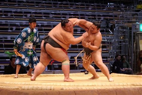 What is Sumo Wrestling & Where to See a Match | All Japan Tours