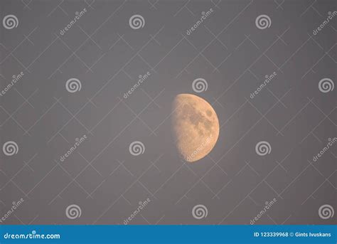 Big Half Moon Shining In The Sky Stock Photo Image Of Moon Solar