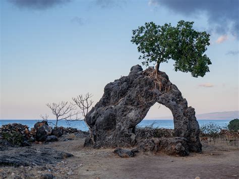 Exploring Timor-Leste: Culture, Traditions, Festivals