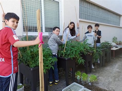 Ies San Tom De Freixeiro