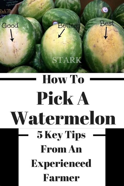 How To Pick The Perfect Watermelon Pineapple Cantaloupe And