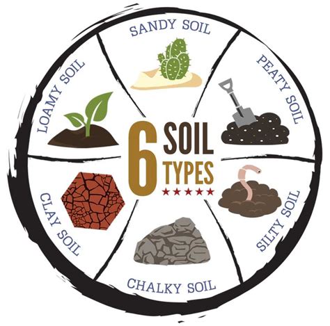 Soil Types Sandy Soil Clay Soil Loamy Soil Alluvial 46 OFF