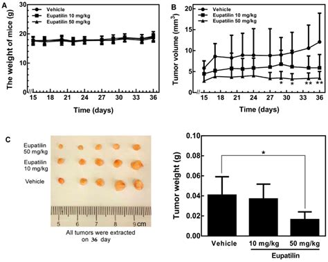 Eupatilin Inhibits The Proliferation Of Human Esophageal Cancer TE1