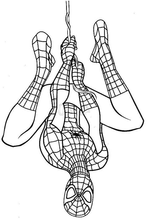 Spiderman Hanging Upside Down Coloring Page