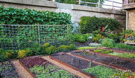 3 Things Getting In The Way Of Your Urban Farm—and What You Can Do