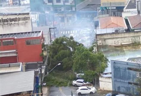 chuva Taboão da Serra registra enchente na Régis e queda de árvore