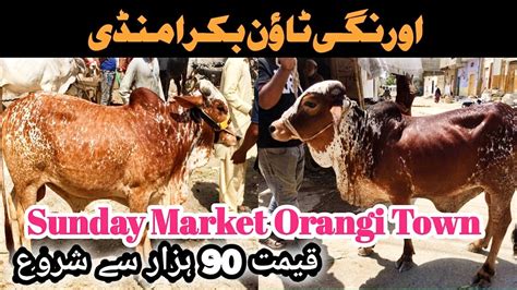 Orangi Town Bakra Mandi Part 2 Latest Update 28 May 2023 Youtube