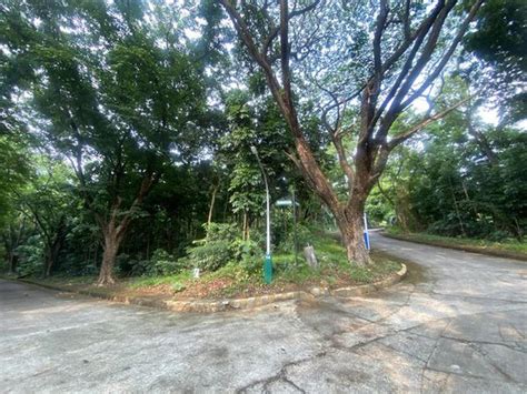 Residential Corner Lot For Sale Town Country Estates Antipolo Rizal