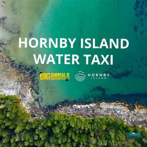 Hornby Island BC Upcoming Events Hornby Island Water Taxi