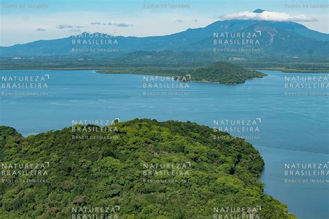 Natureza Brasileira Banco de Imagens Planície litorânea Ao funto a