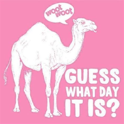 Guess What Day It Is Pictures Photos And Images For Facebook Tumblr