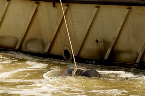 Dead Man With Weighted Bookbag Pulled Out Of Hudson River