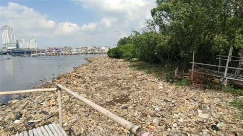 Miris Pesisir Kawasan Mangrove Muara Angke Dipenuhi Lautan Sampah