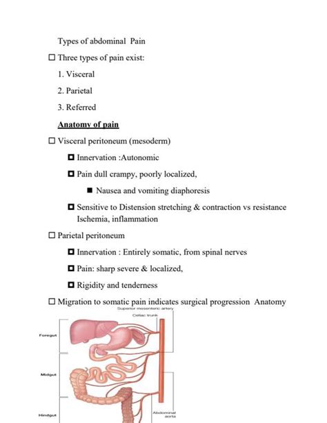 The Acute Abdomen Nursing Notes 11997