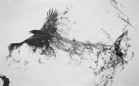 🔥 48 Raven Desktop Wallpapers Wallpapersafari