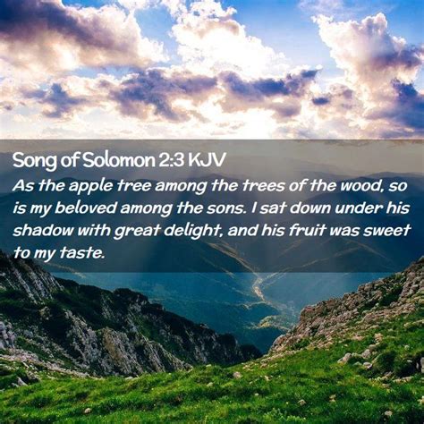 Song Of Solomon Kjv As The Apple Tree Among The Trees Of The Wood So